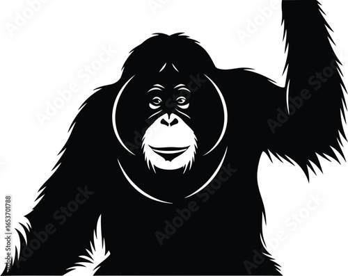 Silhouette of a Smiling Orangutan.