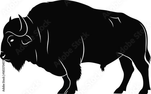 Silhouette of a large American bison, a wild mammal with horns.