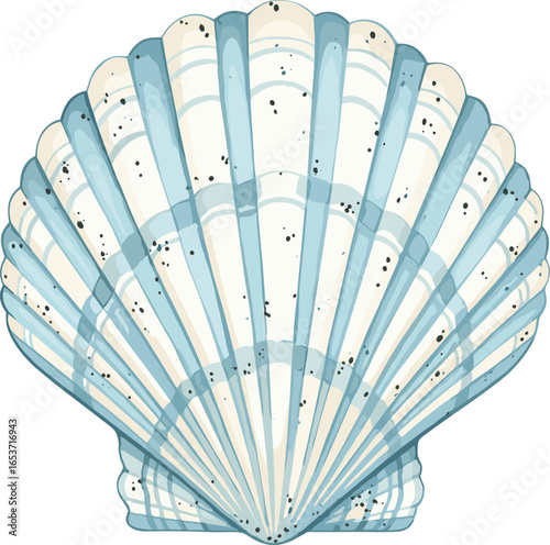 Seashell watercolor illustration. Hand drawn sketch of sea shell in pastel blue and beige colors
