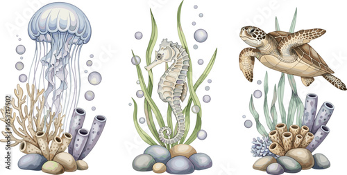 Watercolor compositions with Seahorse and sea Turtle with seaweeds and bubbles on isolated background. Illustration of Sea Horse and jellyfish