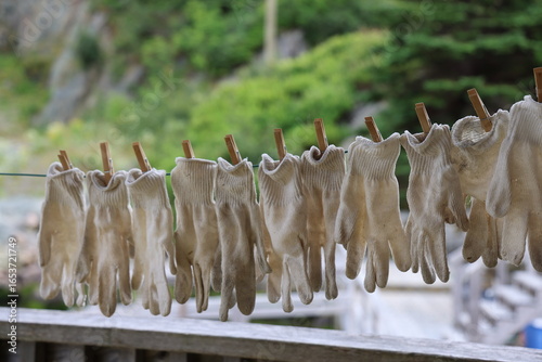 fisherman gloves drying in the sun