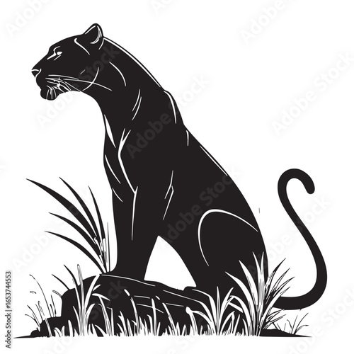 black leopard Silhouette Vector, High Quality Illustration on White Background