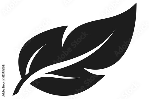 Dark Silhouette Of A Single Leaf With Veins plant nature