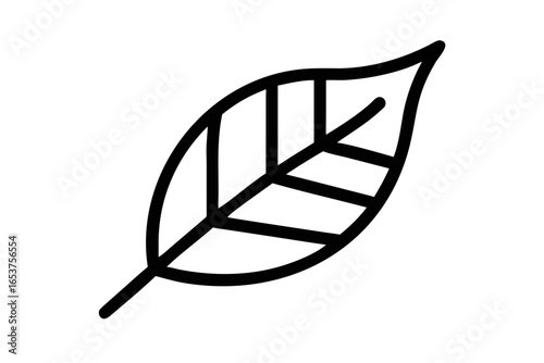 Simple outline of a leaf with veins on a white background icon nature