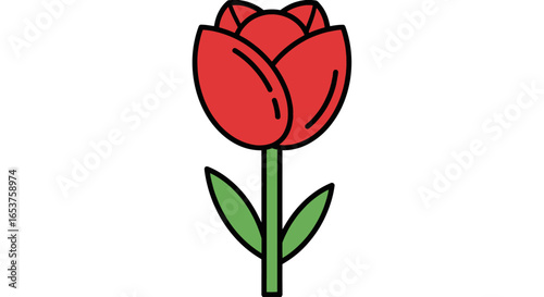Simple Red Tulip Illustration with Green Stem and Leaves for Botanical Studies and Educational Resources Regarding Floral Design