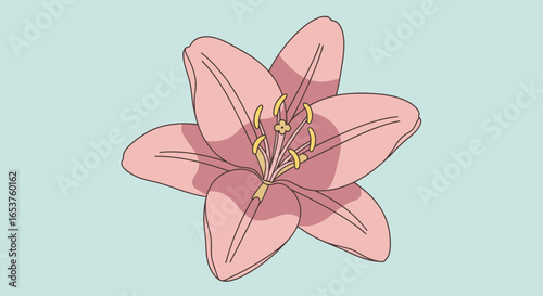 Delicate Pink Lily Blossom Illustration for Botanical Studies, Floral Designs, and Springtime Greeting Cards and Wallpaper Projects