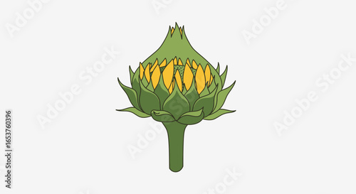 Sunflower Bud Ready to Bloom, Capturing Growth and Potential for Botanical Education and Gardening Guides, Emphasizing Natural Beauty and New Beginnings