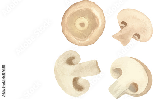 Watercolor illustration set of whole mushrooms, sliced mushrooms, chopped mushrooms, and mushroom halves, ideal for grocery packaging, recipe cards, restaurant menus, and culinary projects.