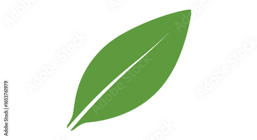 Isolated green leaf illustration for eco-friendly designs, environmental awareness campaigns, organic product branding, and sustainable living promotions.