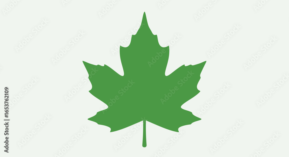 Fototapeta premium Green Maple Leaf Silhouette on White Background, Symbolizing Nature and Canadian Identity for Graphic Design and Patriotic Visuals