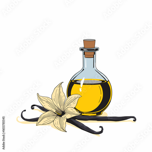 Vanilla sticks and oil bottle in a hand-drawn style on white background  