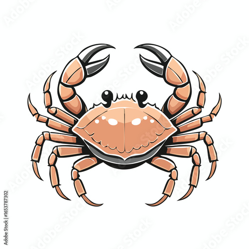 Detailed illustration of a crab with its claws raised, showcasing its features.