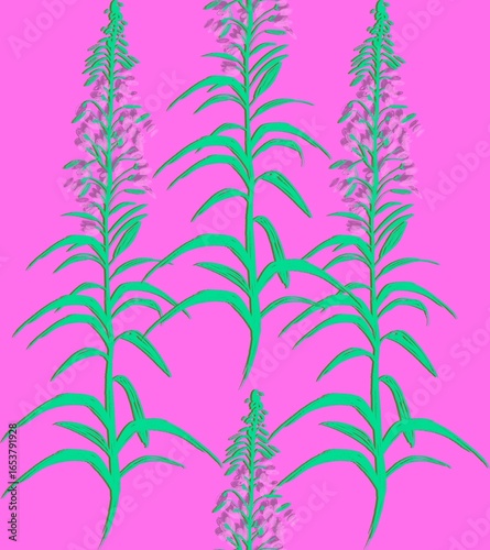 Fireweed, Ivan-tea, Epil bium - meadow grass, flower, honey plant. Seamless textile pattern on a bright pink background. Floral pattern for summer dress fabrics, viscose, silk