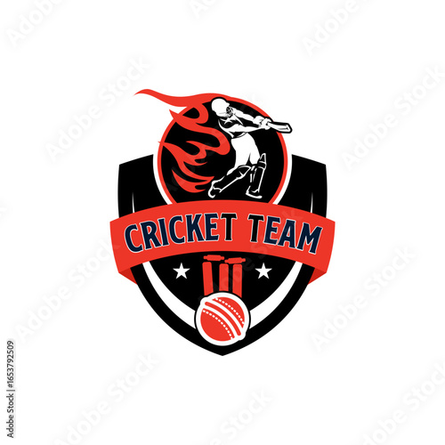 Cricket Sports Team Club Academy Player Logo