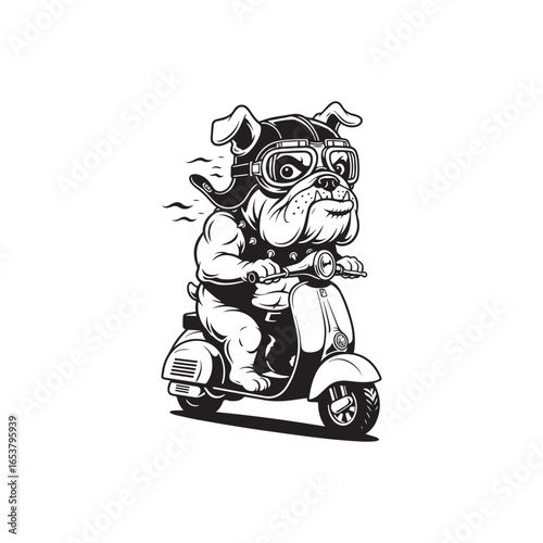 Vector art of funny bulldog wearing goggles and a helmet riding a scooter