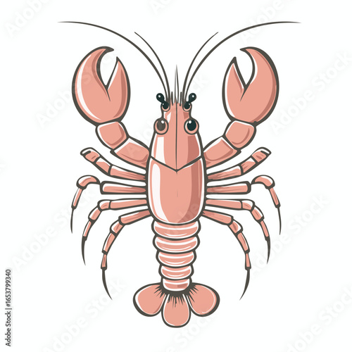 Detailed illustration of a pink lobster with claws, antennae, and a segmented body on white background.
