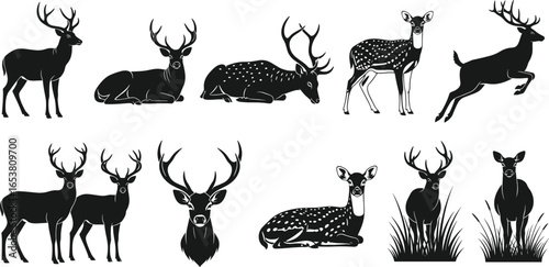 Silhouette Collection of Deer and Bucks in Various Poses – Wildlife Vector Illustrations for Nature, Forest, and Animal Design Themes