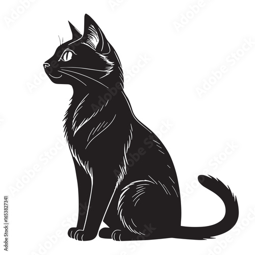 black meow Silhouette Vector, High Quality Illustration on White Background