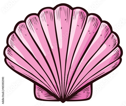 Illustration of a Pink Seashell with Detailed Lines and Edges, Nautical Theme