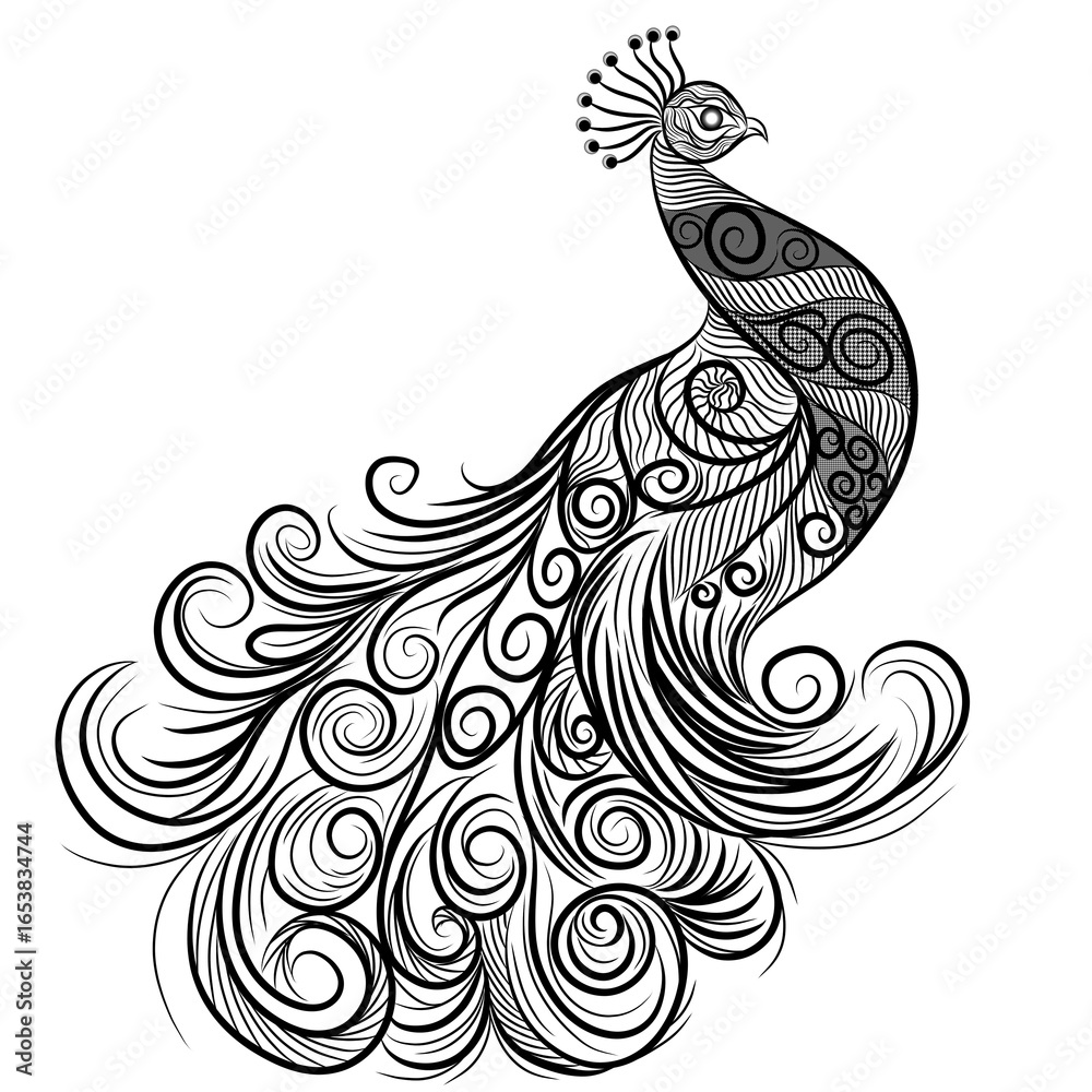 Fototapeta premium Elegant peacock feather vector illustration with intricate floral and paisley swirl patterns