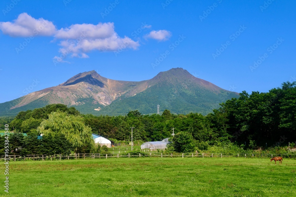 Fototapeta premium 北海道駒ヶ岳（北海道）