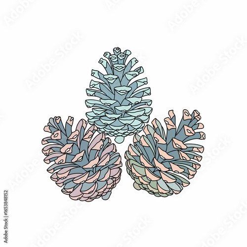 Three stylized pine cones with pastel blue, pink, and green hues.