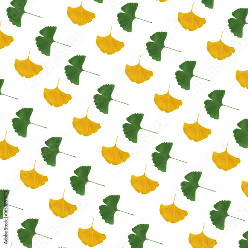 A geometric arrangement of green and yellow ginkgo leaves, creating a botanic...