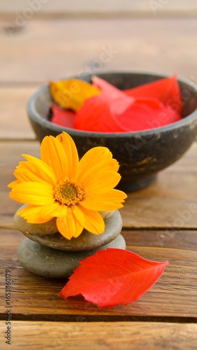 Autumnal zen scene with flower and stones