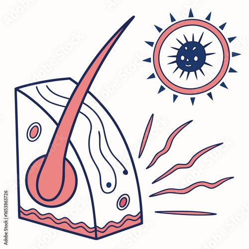 Illustration of hair follicle and sun exposure, isolated on white background