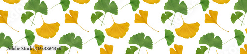 Pattern with Green and Yellow Ginkgo Leaves on White Background