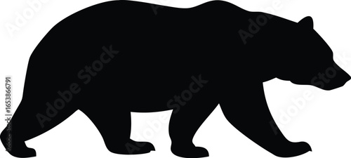 Black silhouette of a walking bear, isolated on white background