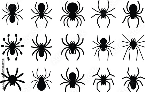 Collection of fifteen black spider silhouettes on white background
