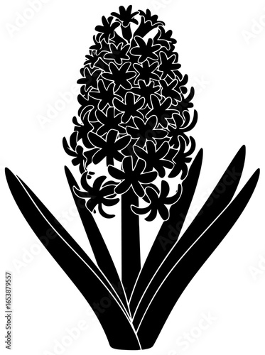 Hyacinth flower in a vase with beautiful colorful flowers on a windowsill and table