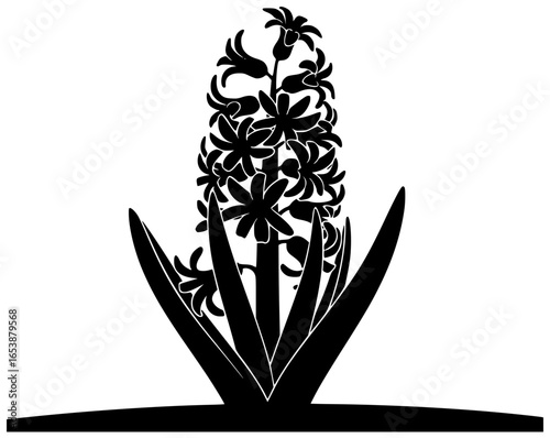 Hyacinth flower in a vase with beautiful colorful flowers on a windowsill and table
