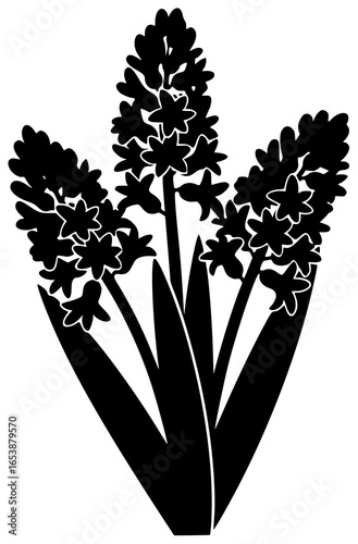 Hyacinth flower in a vase with beautiful colorful flowers on a windowsill and table