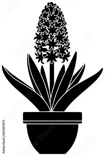 Hyacinth flower in a vase with beautiful colorful flowers on a windowsill and table