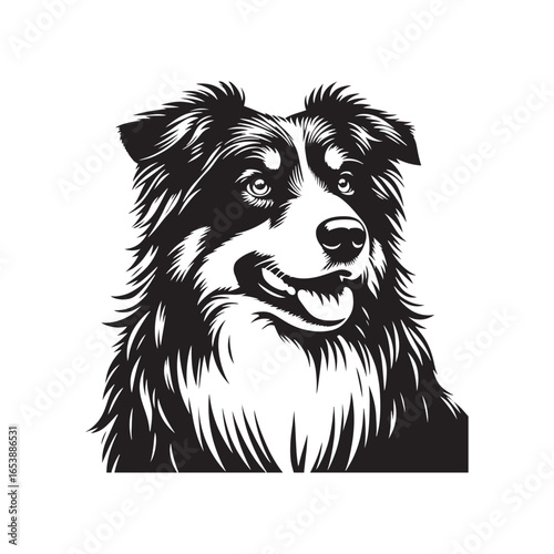 "Australian Shepherd Dog Vector Silhouette – Loyal Herding Canine Outline Design, Perfect for Pet Art, Farm Life Graphics, Dog Lovers’ Decor, Logos, Prints, and Creative Illustrations"
