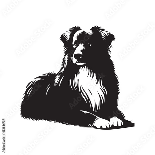 "Australian Shepherd Dog Vector Silhouette – Loyal Herding Canine Outline Design, Perfect for Pet Art, Farm Life Graphics, Dog Lovers’ Decor, Logos, Prints, and Creative Illustrations"
