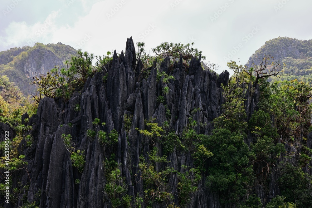 Fototapeta premium Limestone Cliffs in Palawan
