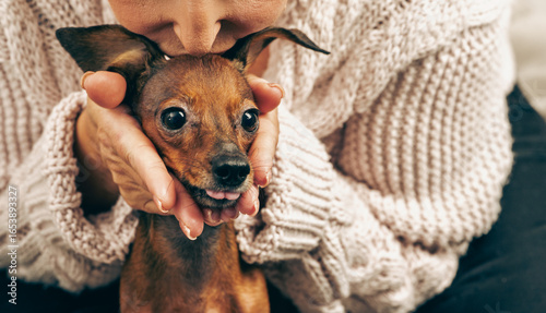 Canvas Print Woman kissing her cute little dog with tongue out, owner showing love and affect