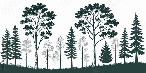 Seamless Vector Silhouette Pattern of Diverse Trees – Birch, Aspen, and Fir for Natural Forest Backgrounds