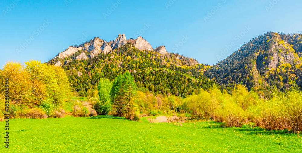 Fototapeta premium Peak Tri Koruny or Trzy Korony during day with green meadow and trees in spring. Pieniny National park in Slovakia and Poland