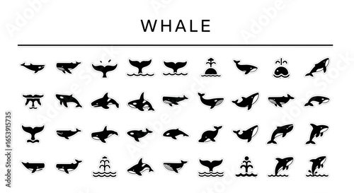 Whale icons set: ocean, marine life, and animal symbols.