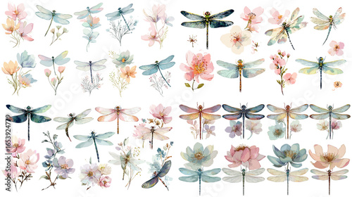 Elegant watercolor illustration set of dragonflies and blooming flowers in soft pastel tones. Ideal for wedding invitations, stationery, wall art, and botanical nature design projects.