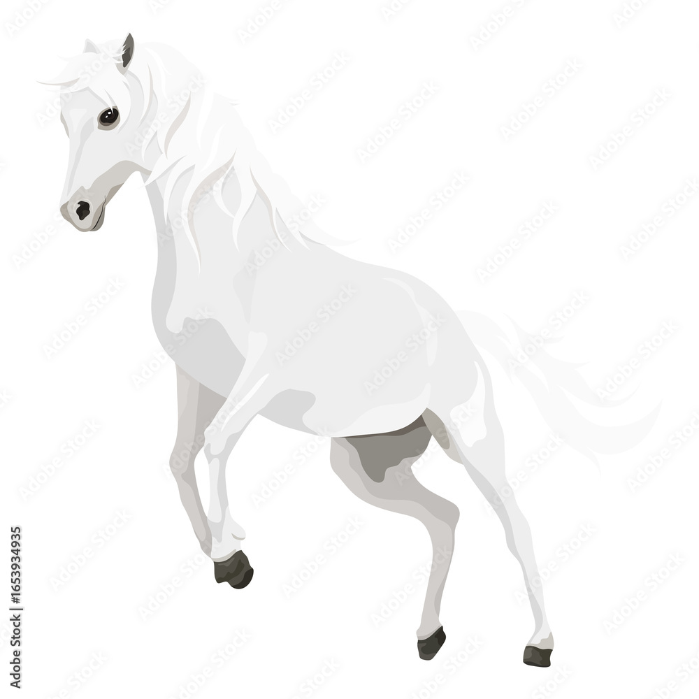 Fototapeta premium White horse png sticker, animal galloping illustration, transparent background
