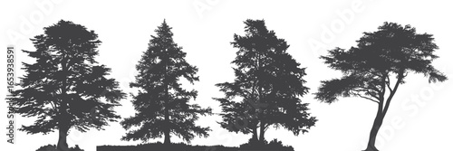 Cedar Tree Silhouettes Collection, a versatile set of four detailed silhouettes of different tree types, including deciduous and coniferous, for various design projects.