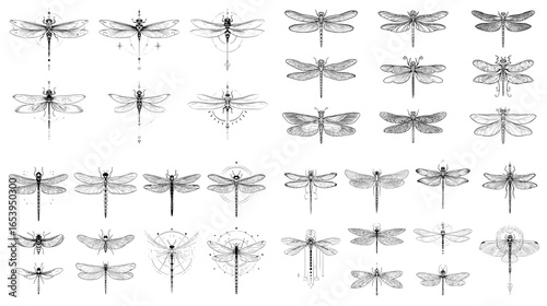 Elegant dragonfly line art illustration set, featuring detailed wings and delicate designs. Ideal for nature, insect, and wildlife-themed projects or as decorative elements in design.