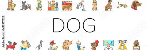 dog competition show breed icons set vector