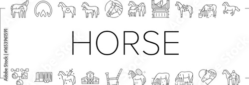 horse breeding equestrian icons set vector