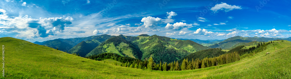custom made wallpaper toronto digitalWide angle panoramic landscape of Carpathian Mountains with green hills, scenic forests and clear blue summer sky